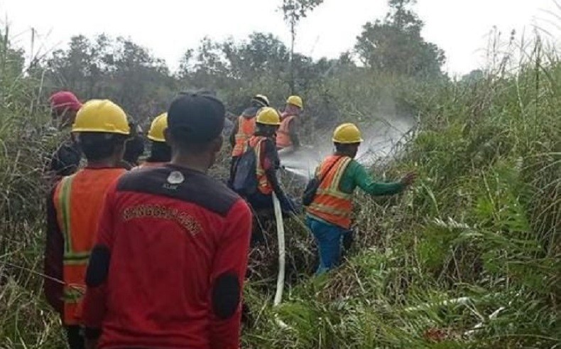 2.774 Hotspot Terdeteksi di Kalbar, BNPB: 38.310 Hektare Lahan Terindikasi Terbakar