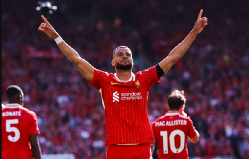 Cody Gakpo Jadi Tumbal, Liverpool Siapkan Barter Gila Demi Target Rp2,72 Triliun
