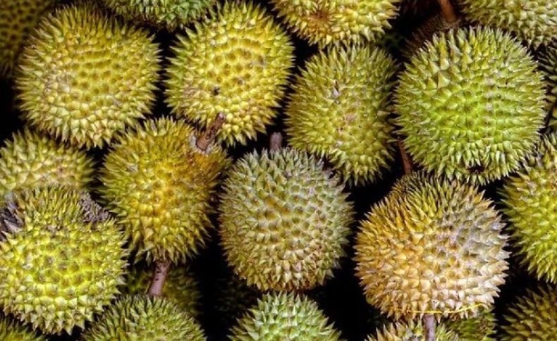 Tersandung Kasus Durian, Wakil Menteri Pertanian Vietnam Ditangkap