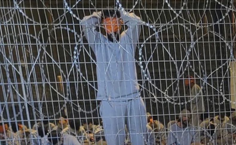 Kejam! Israel Akan Kelilingi Penjara Tahahan Palestina dengan Banyak Buaya