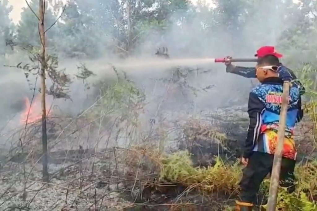 Palangka Raya Dikepung Kabut Asap! Kebakaran Lahan Gambut Meluas 20 Hektare
