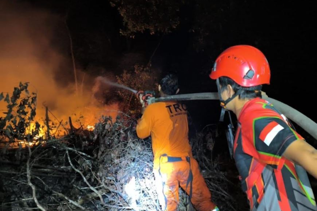 BNPB Deteksi 61 Titik Panas di IKN dan Kaltim, 400 Hektare Lahan Terbakar