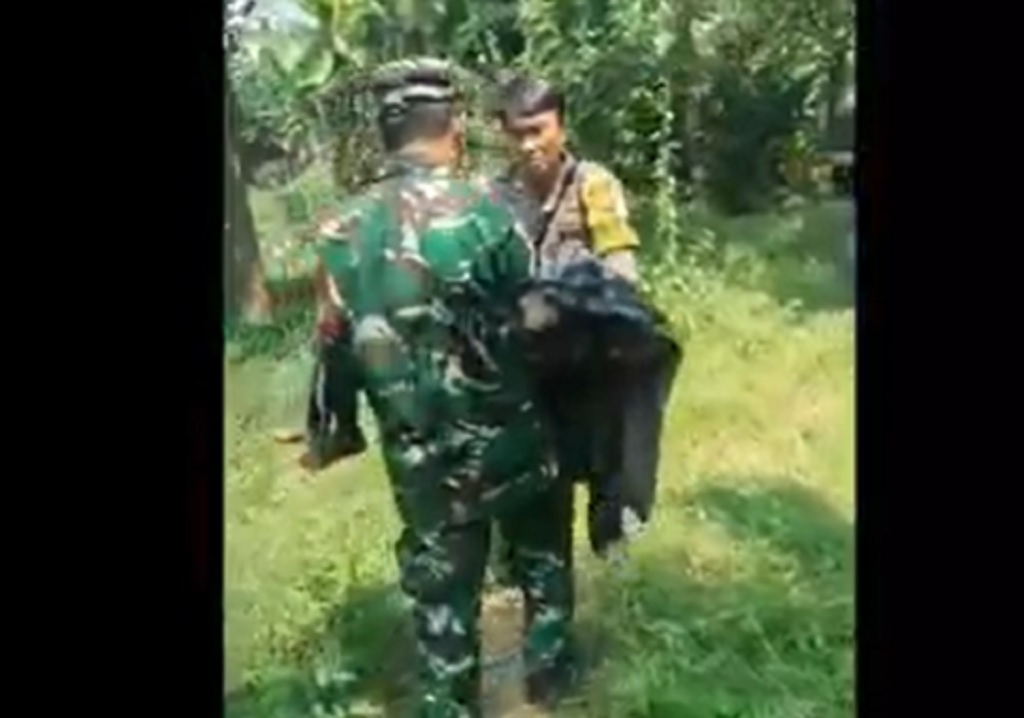Kronologi Bocah 9 Tahun di Jasinga Bogor Tewas Diterkam Anjing Pemburu Babi Hutan