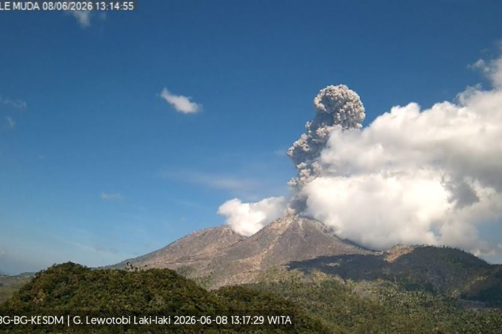 Gunung Lewotobi Laki-laki Meletus Dahsyat Siang Ini, Kolom Abu Capai 2,2 Km