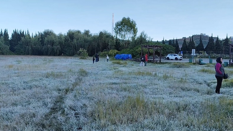 Embun Es Kembali Selimuti Dieng, Suhu Minus 1 Derajat Celsius