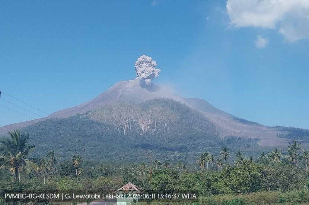 Gunung Lewotobi Laki-Laki Erupsi, Kolom Abu Tebal Membubung Setinggi 400 Meter