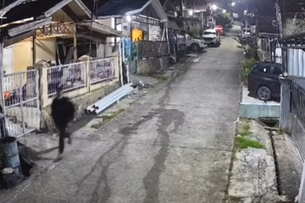 Mahasiswi di Samarinda Ditembak Mantan Pacar saat Pulang Kuliah