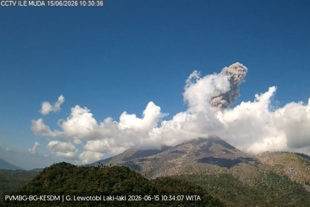 Gunung Lewotobi Laki-laki Erupsi, Kolom Abu Tebal Membubung Setinggi 800 Meter