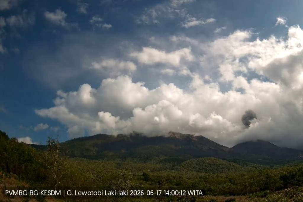 Gunung Lewotobi Laki-laki Erupsi, Kolom Abu Capai Ketinggian 600 Meter