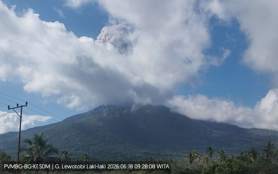 Gunung Lewotobi Laki-laki Erupsi, Muntahkan Kolom Abu Tebal Setinggi 1.000 Meter