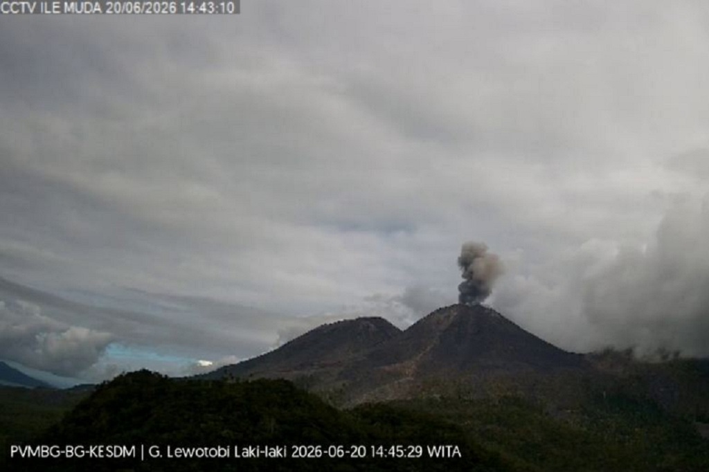 Gunung Lewotobi Laki-laki Erupsi, Muntahkan Abu Vulkanis Setinggi 600 Meter