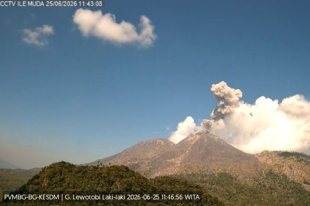 Gunung Lewotobi Laki-laki Erupsi, Kolom Abu Tebal Capai Ketinggian 800 Meter