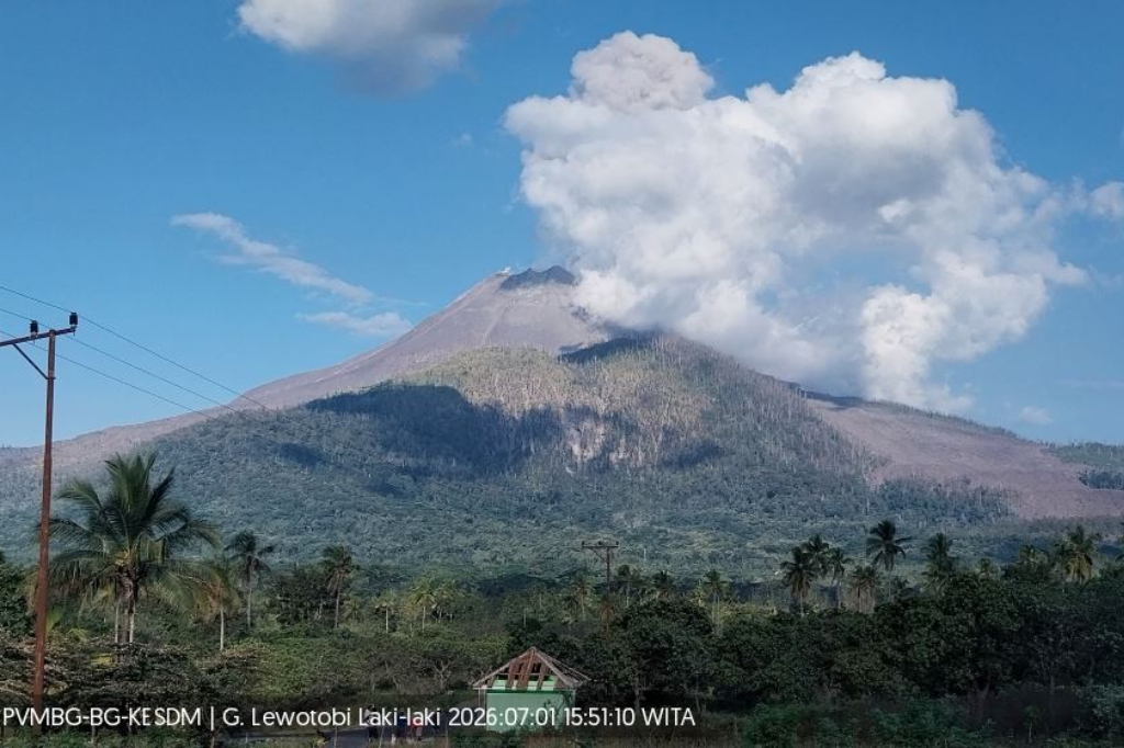 Gunung Lewotobi Laki-Laki Erupsi Lagi, Kolom Abu Capai 600 Meter