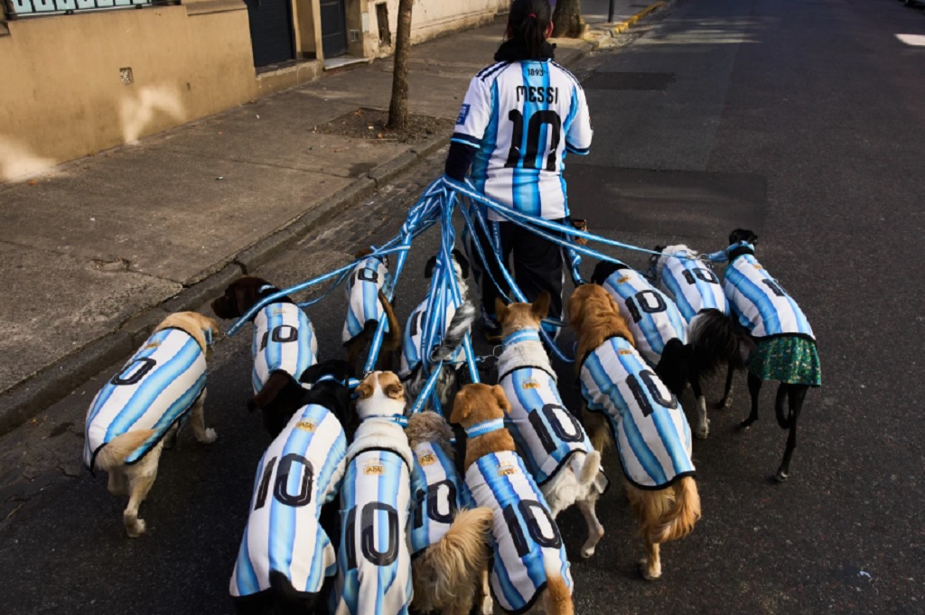 Demam Piala Dunia, 13 Anjing Pakai Jersey Timnas Argentina Curi Perhatian di Buenos Aires