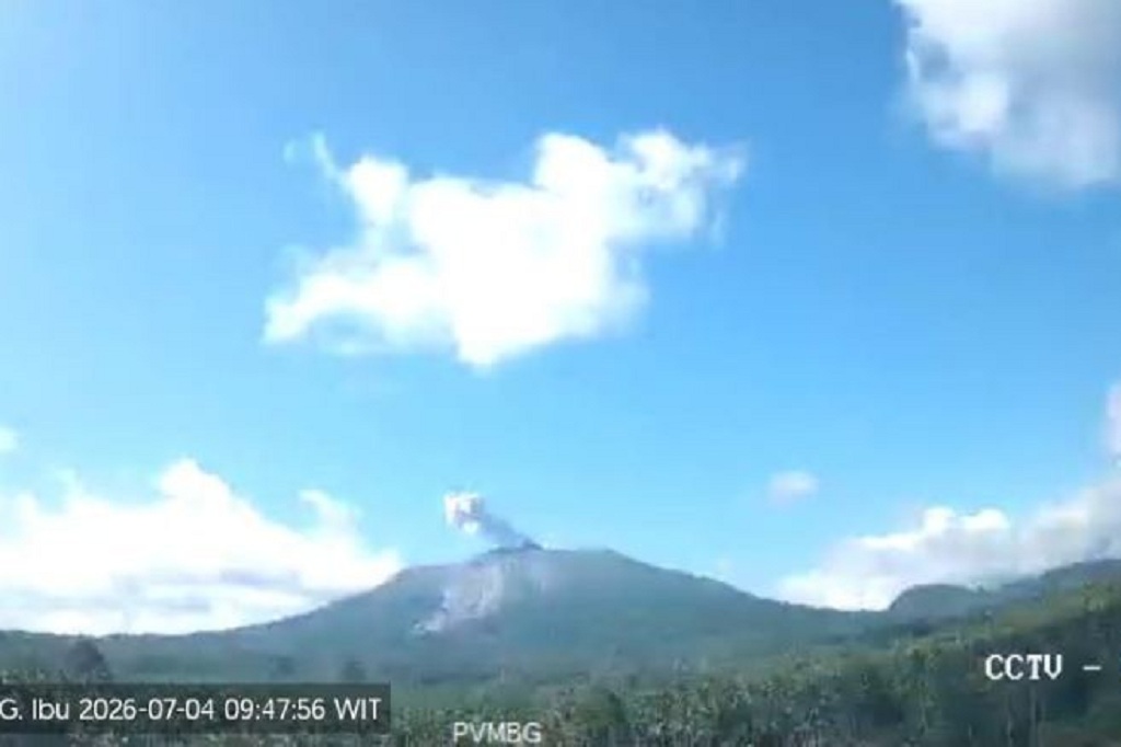 Gunung Ibu Meletus Pagi Ini, Kolom Abu Capai 400 Meter dari Puncak