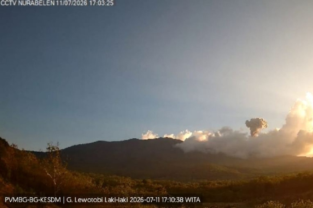 Gunung Lewotobi Laki-laki Erupsi, Abu Vulkanis Setinggi 800 Meter Membubung ke Langit