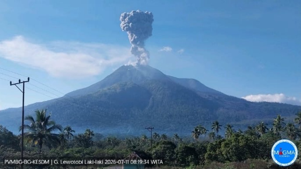 Gunung Lewotobi Laki-Laki Erupsi Lagi Pagi Ini, Kolom Abu Capai 1 Km