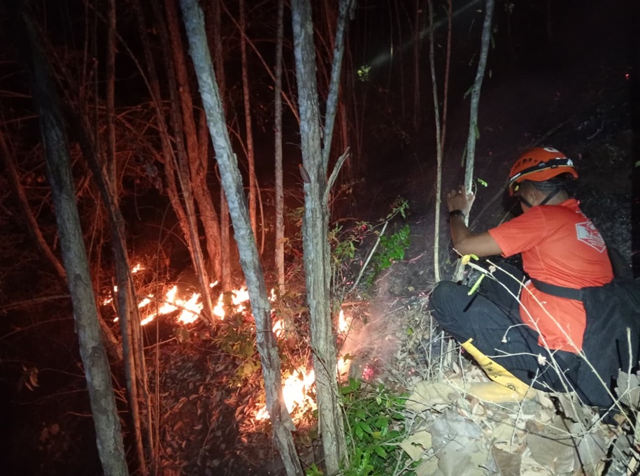 BNPB: 3 Daerah di Pulau Jawa Dilanda Karhutla, 8 Hektare Lahan Terbakar