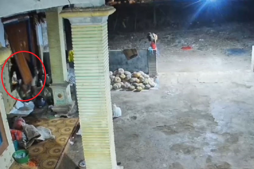 Terekam CCTV, Pria di Tuban Bobol Rumah Warga Curi Uang Rp100.000