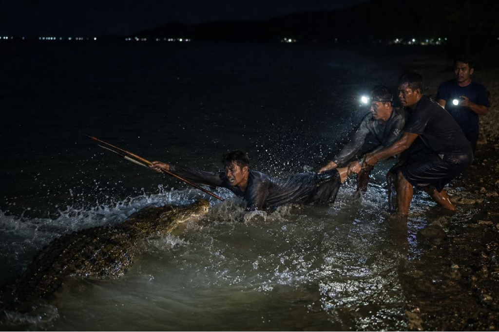 Nelayan Diserang Buaya saat Memanah Ikan di Pasangkayu, Selamat usai Melawan