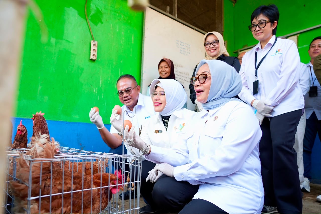 Menteri PPPA dan Kepala BPS Apresiasi Upaya Pemberdayaan Perempuan lewat PNM Mekaar