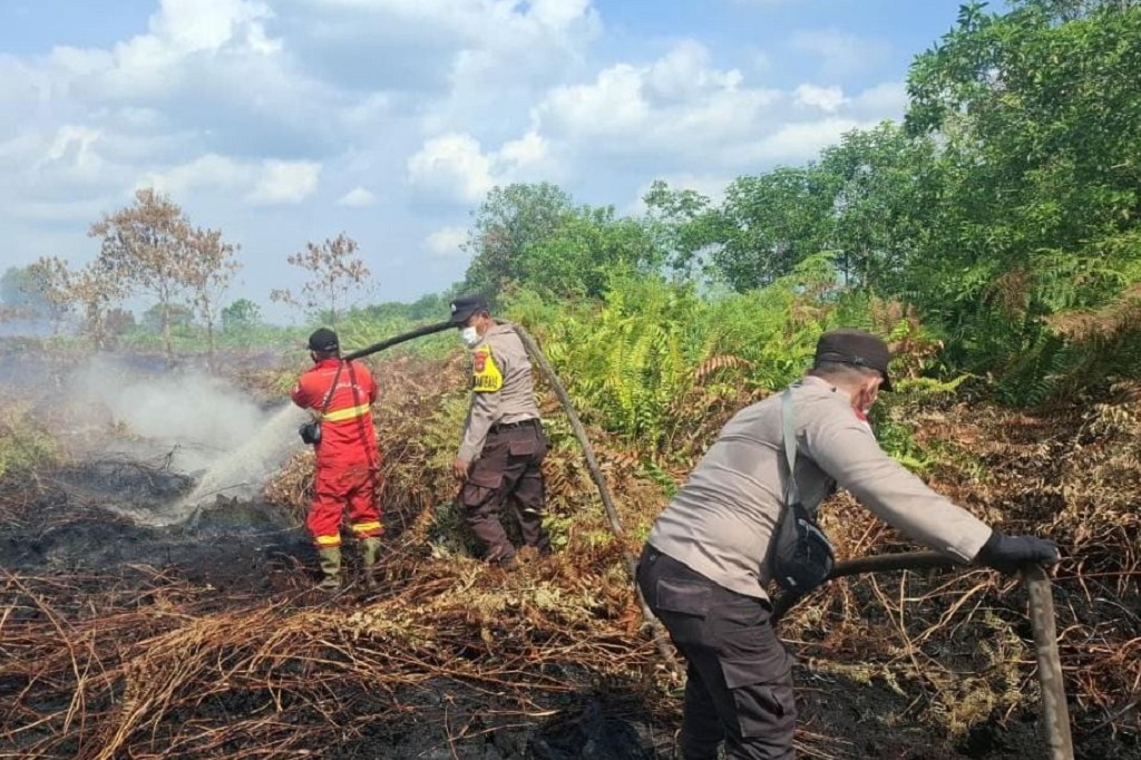 Karhutla Bengkalis Meluas Capai 80 Hektare, Water Bombing Dikerahkan Padamkan Api
