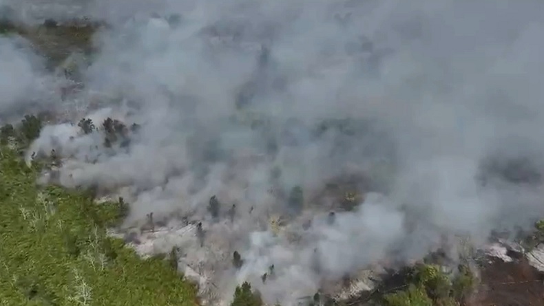 Area Karhutla Kaltim Tembus 1.000 Hektare, Berau Jadi Daerah Terparah