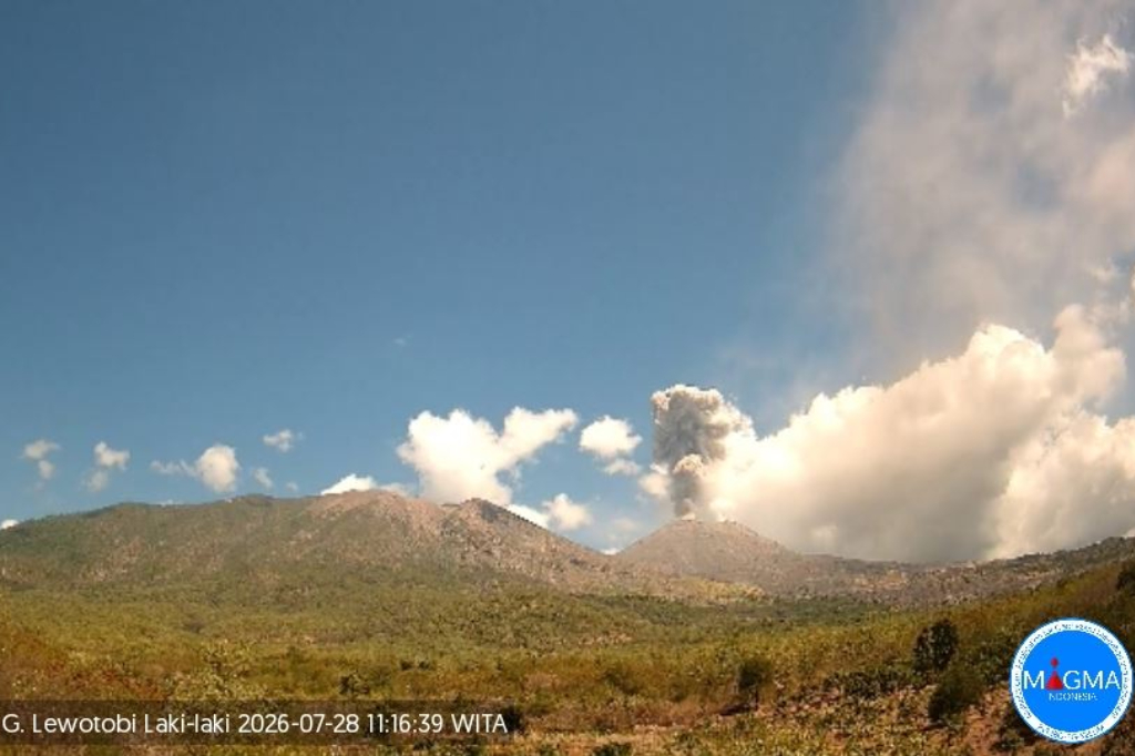 Gunung Lewotobi Laki-laki Erupsi, Kolom Abu Tebal Membubung 1.000 Meter