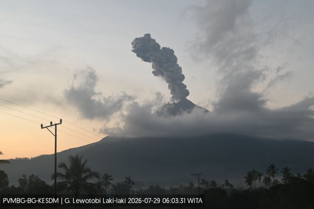Gunung Lewotobi Laki-laki Erupsi Pagi Ini, Abu Tebal Menjulang Setinggi 1,2 Km