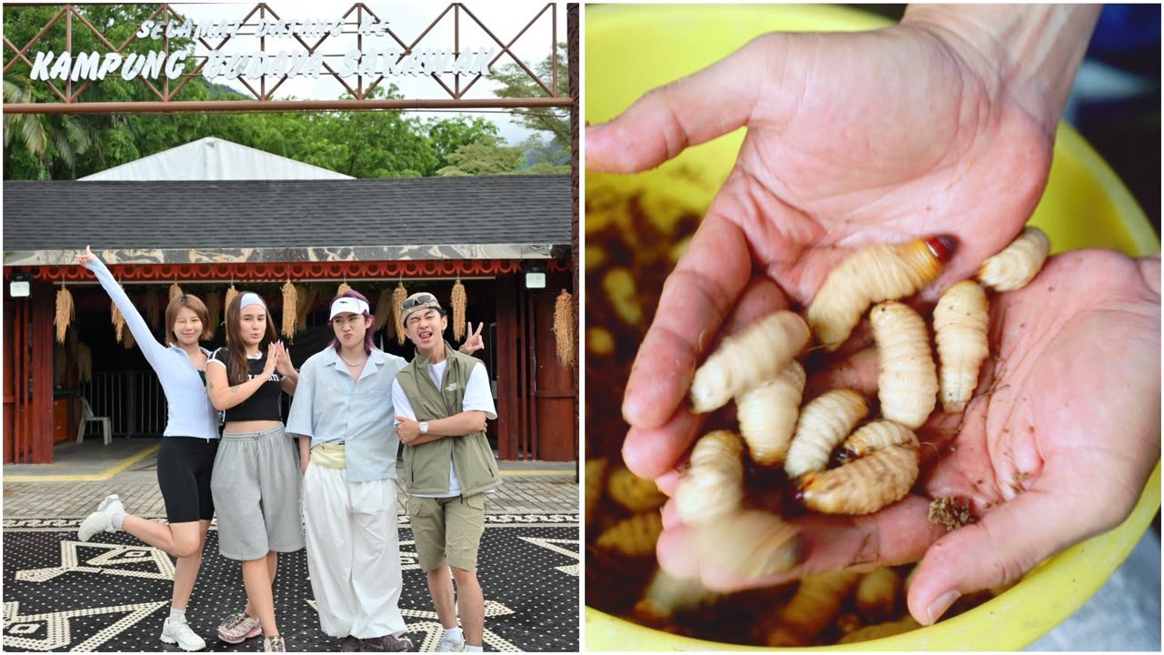 Hidden Gems Sarawak Mulai Naik Daun, Berburu Ulat Sagu hingga Hutan Tropis