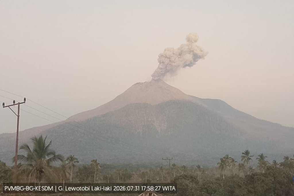 Gunung Lewotobi Laki-laki Erupsi Sore Ini, Abu Tebal Menjulang 700 Meter