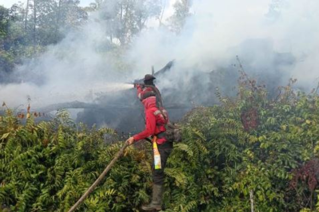 Karhutla di Pelalawan Riau Meluas Lebih dari 12 Hektare, BNPB Kerahkan Water Bombing
