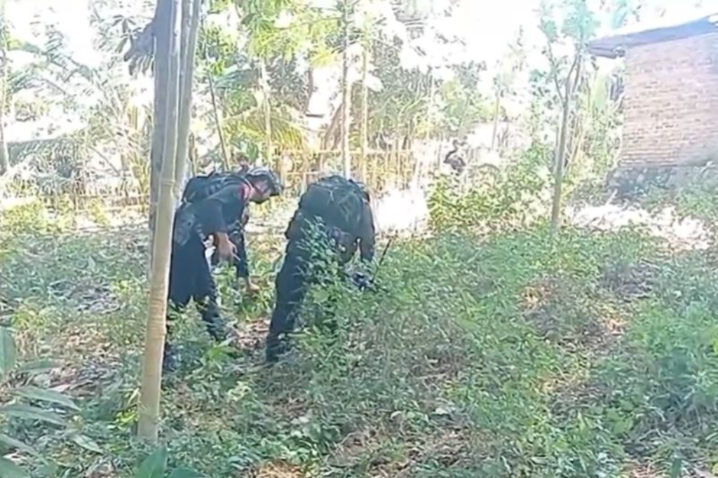 Bom Rakitan Ditemukan di Lokasi Bentrokan Adonara NTT, Polisi Sterilkan TKP