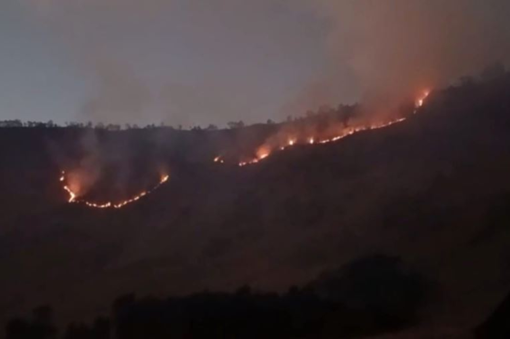 Kebakaran Hutan Kawasan TNBTS, 2 Pintu Masuk Wisata Bromo Ditutup Sementara