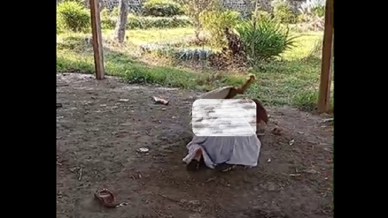 Viral! Duel Siswi SMPN 7 Jember, Saling Jambak hingga Gelut di Tanah