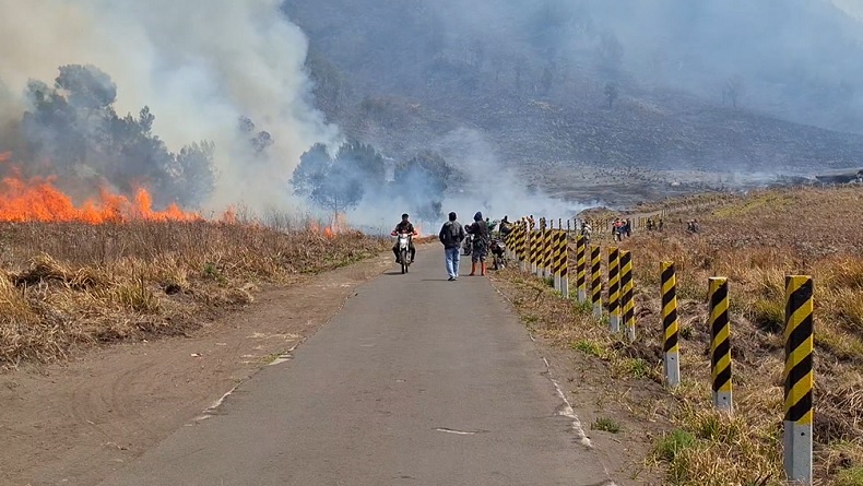 Hari Ketiga, Kebakaran Savana Gunung Bromo Belum Berhasil Dipadamkan