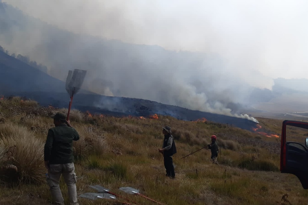 Kawasan Gunung Bromo Terbakar hingga 60 Hektare, Jalur Wisata Ditutup Sementara