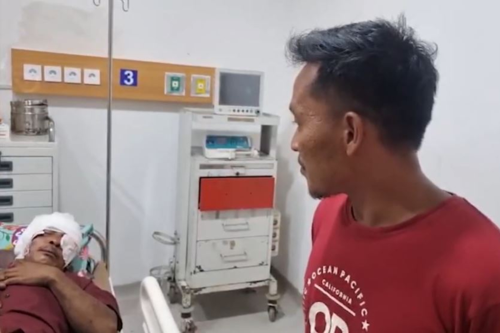 Ngeri! Petani di Pelalawan Riau Diserang Beruang, Luka Parah di Kepala dan Mata