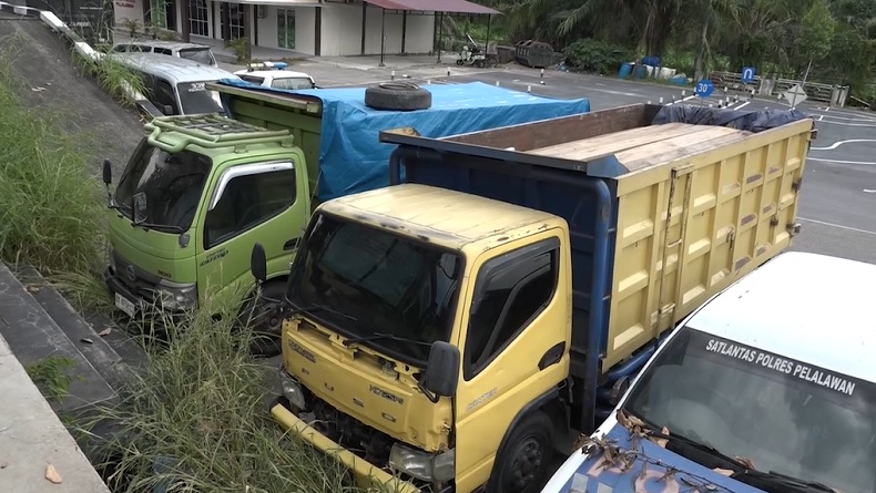 Pengiriman 2 Truk Kayu Ilegal dari Kawasan Konservasi Riau Digagalkan, 2 Orang Ditangkap