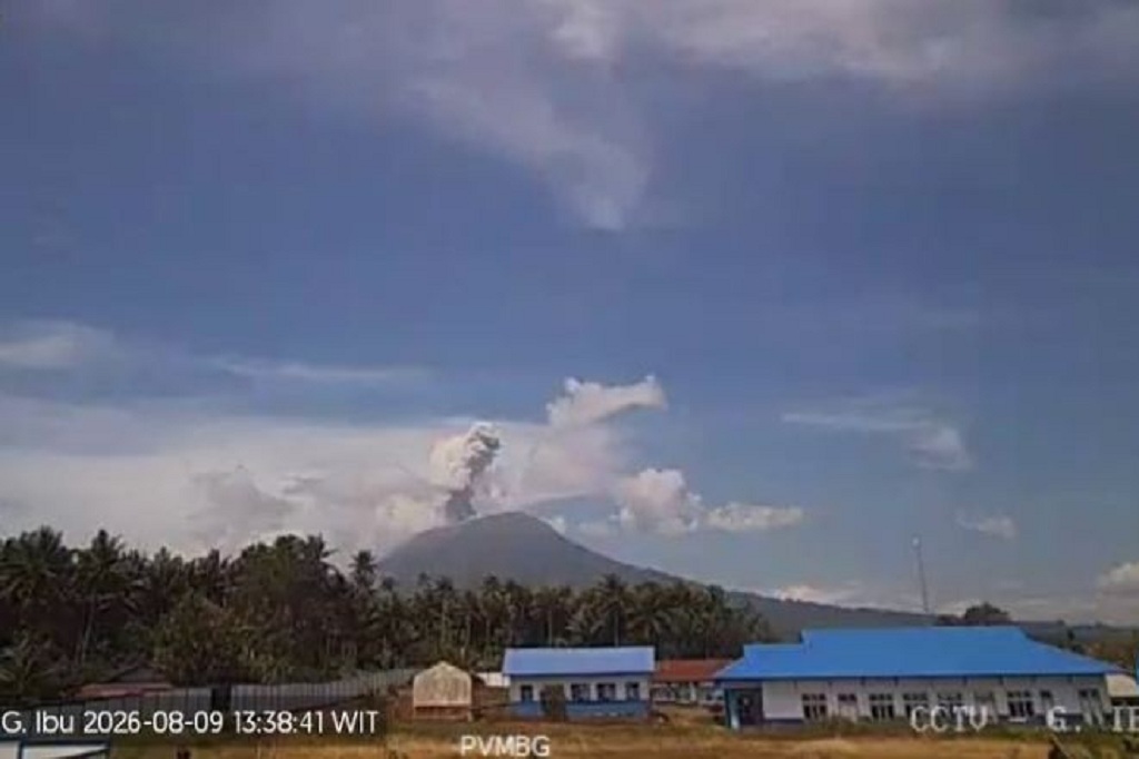 Gunung Ibu Erupsi Hari Ini, Kolom Abu Membubung Setinggi 800 Meter