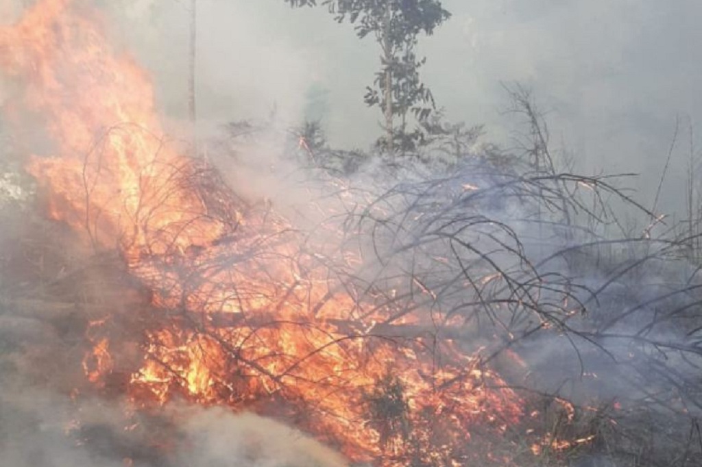 Karhutla di Gunung Rinjani, Tim Gabungan Berjibaku Padamkan Api