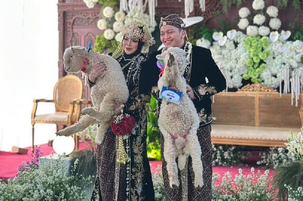 Viral! Pengantin di Ponorogo Beri Seserahan Sepasang Domba Merino untuk Sang Istri