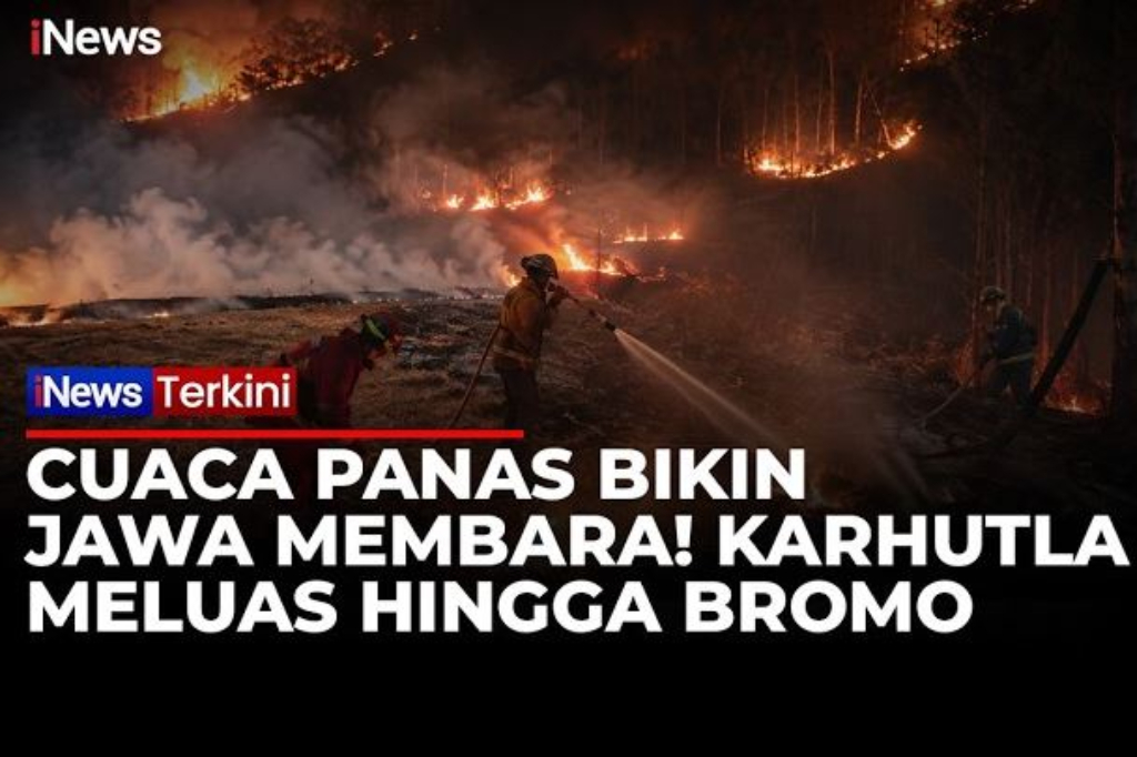 Pulau Jawa Dikepung Karhutla! Gunung Gede Pangrango hingga Bromo Dilanda Kebakaran