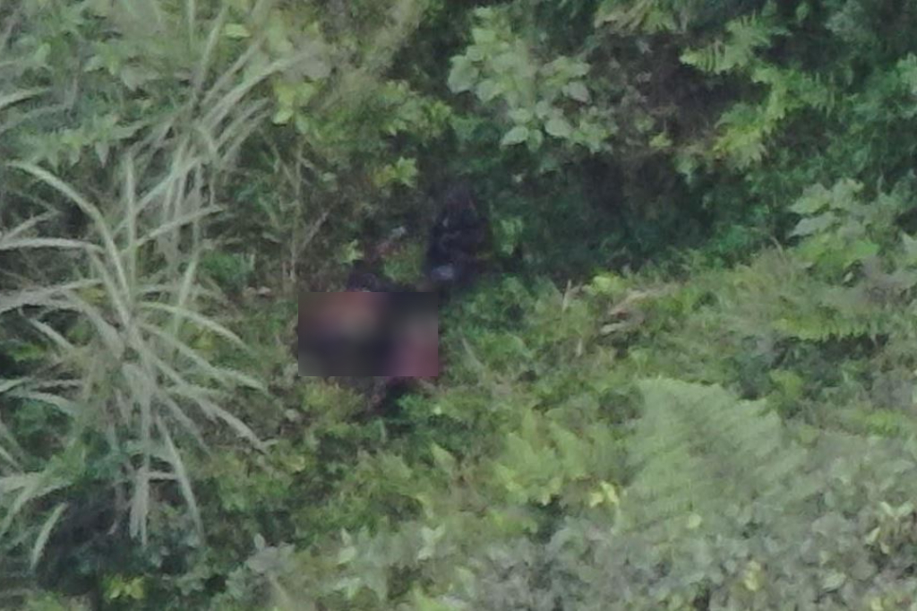 Satgas Damai Cartenz Tembak DPO KKB di Tembagapura, Pernah Terlibat Serangan di Freeport