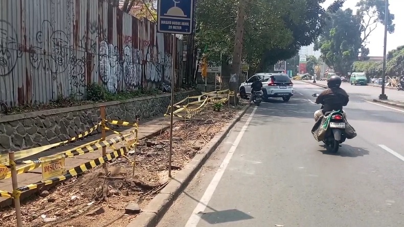 Penebangan Pohon Secara Ilegal Kembali Ditemukan di Bandung, Diduga Ada Kepentingan Bisnis