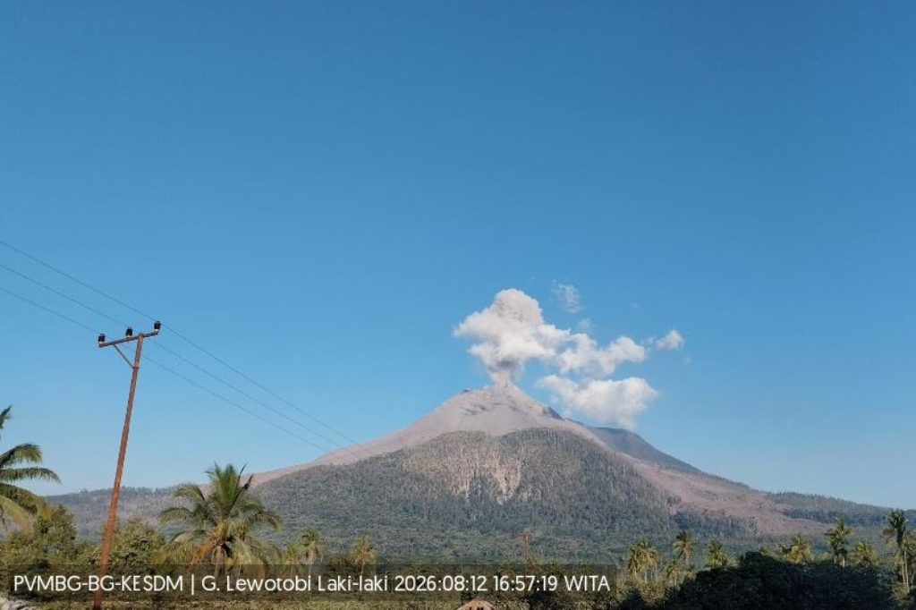 Gunung Lewotobi Laki-Laki Erupsi, Kolom Abu Membubung Setinggi 600 Meter