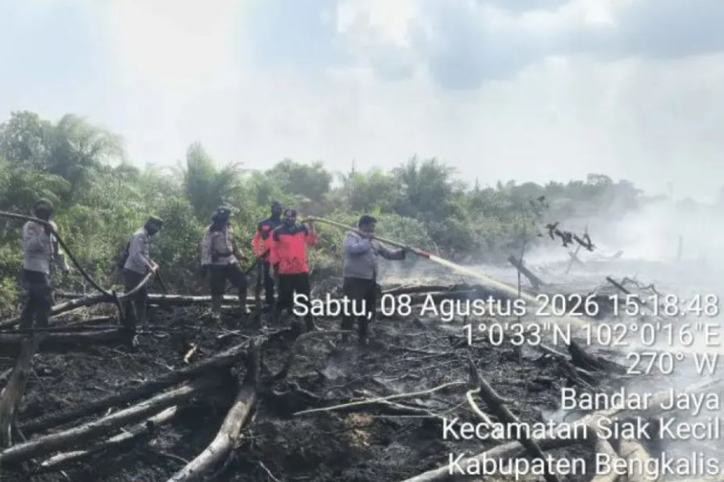 Penindakan Karhutla di Bengkalis, Polda Riau Tetapkan 2 Tersangka