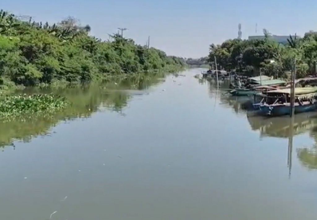 Bikin Resah! Buaya Muara Kerap Ikuti Perahu di Sungai Bluru Kidul Sidoarjo