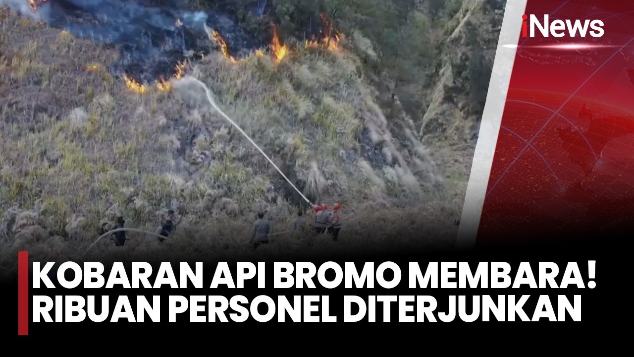Kebakaran Gunung Bromo Meluas Hingga 921 Hektare, 1.500 Petugas Gabungan dan Helikopter Dikerahkan