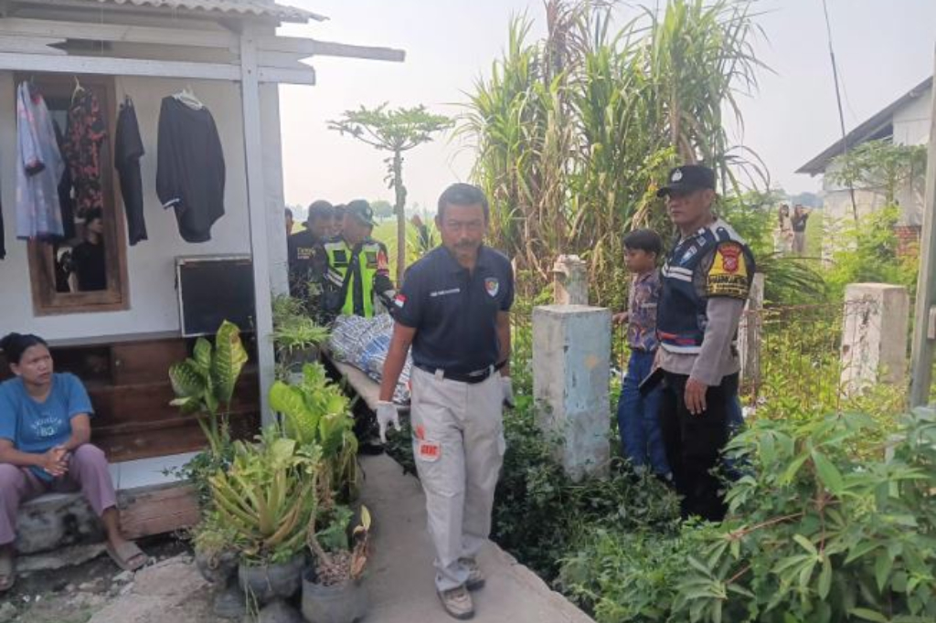 Karawang Geger, Mayat Perempuan Ditemukan Tergeletak di Pinggir Sawah